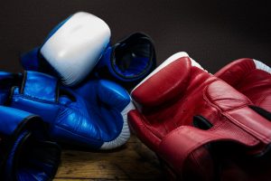 best speed bag gloves