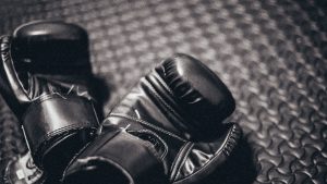 best kickboxing gloves