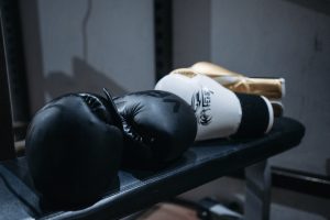 best muay thai gloves