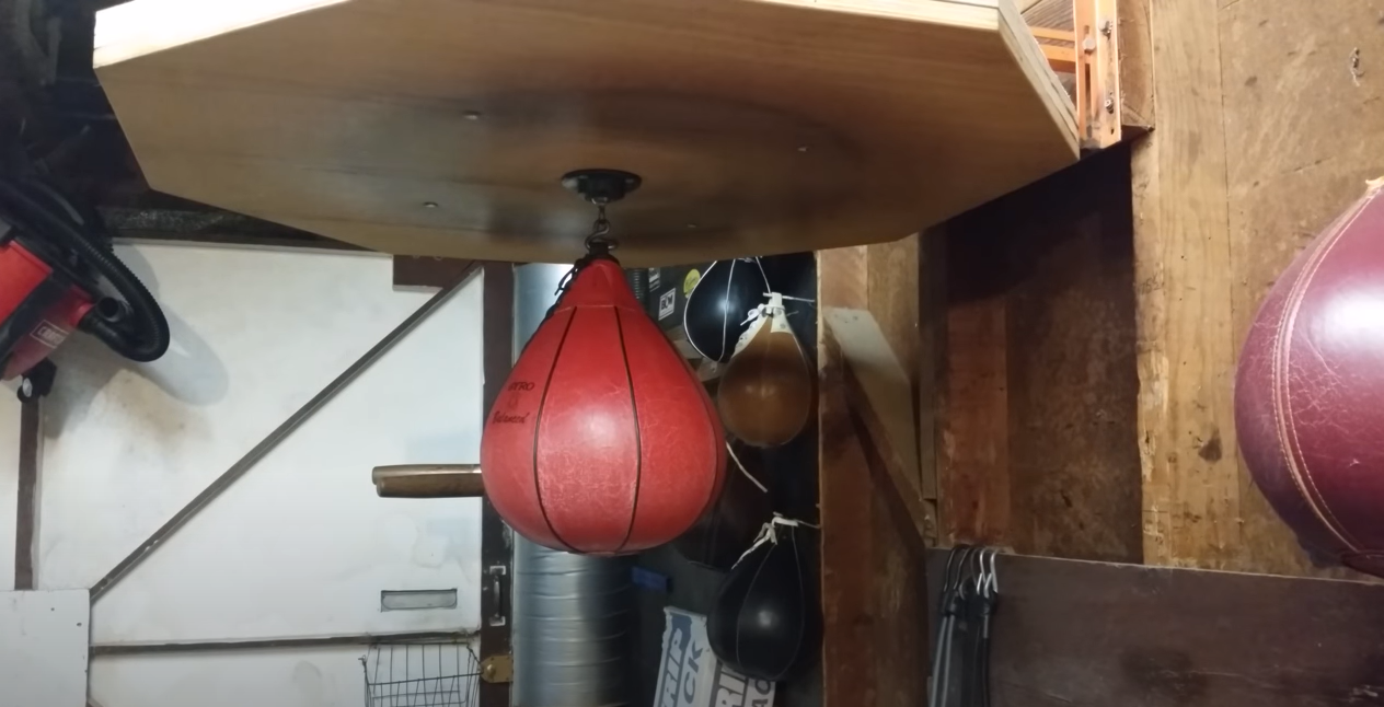 Best Speed Bags Top 5 Quality Picks [2022] Enhanced Combat Sports